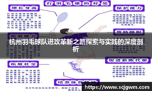杭州羽毛球队进攻革新之路探索与实践的深度剖析