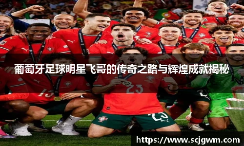 葡萄牙足球明星飞哥的传奇之路与辉煌成就揭秘